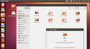 Ubuntu 13.04